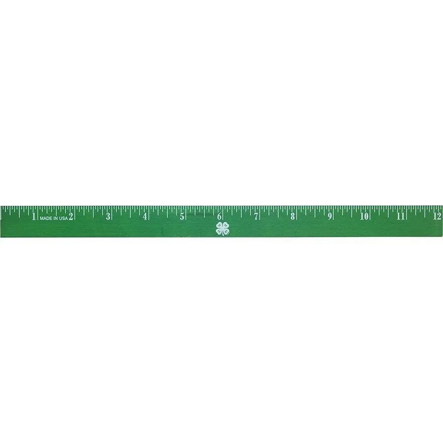 4-H Mood Ruler