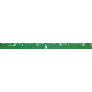 4-H Mood Ruler