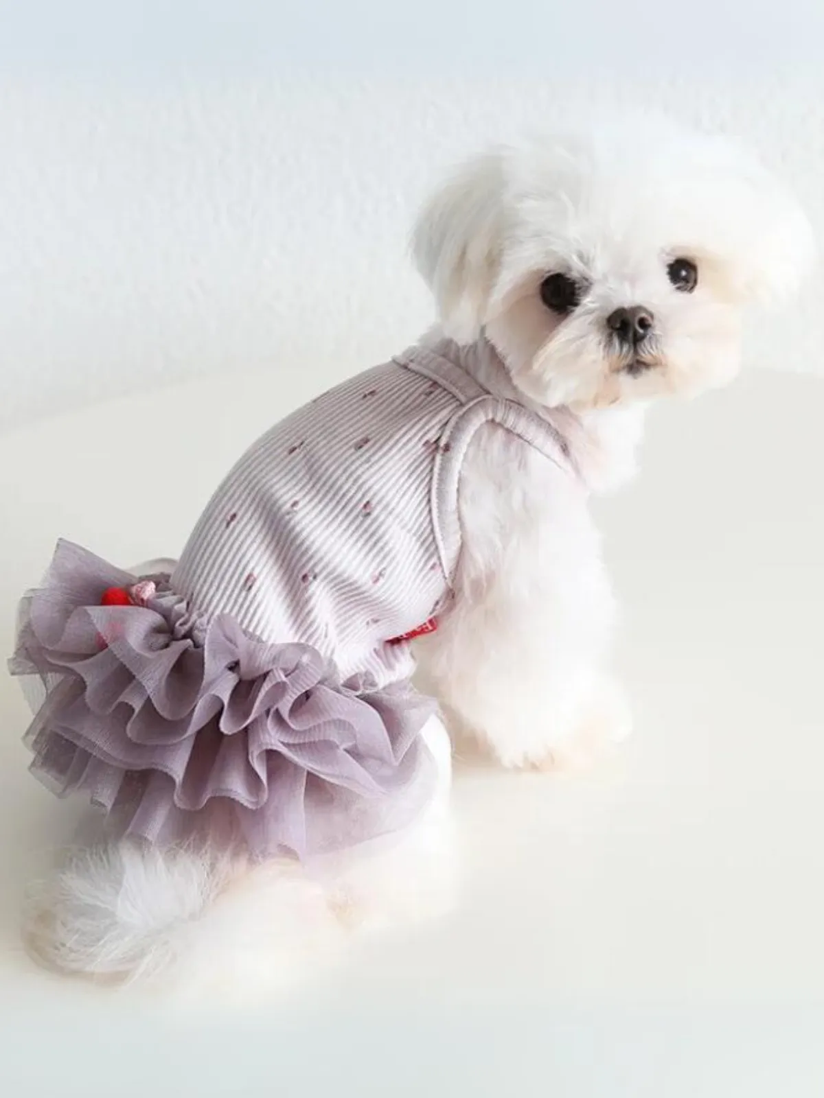 Adorable Tutu Cherry Delight Dog Dress