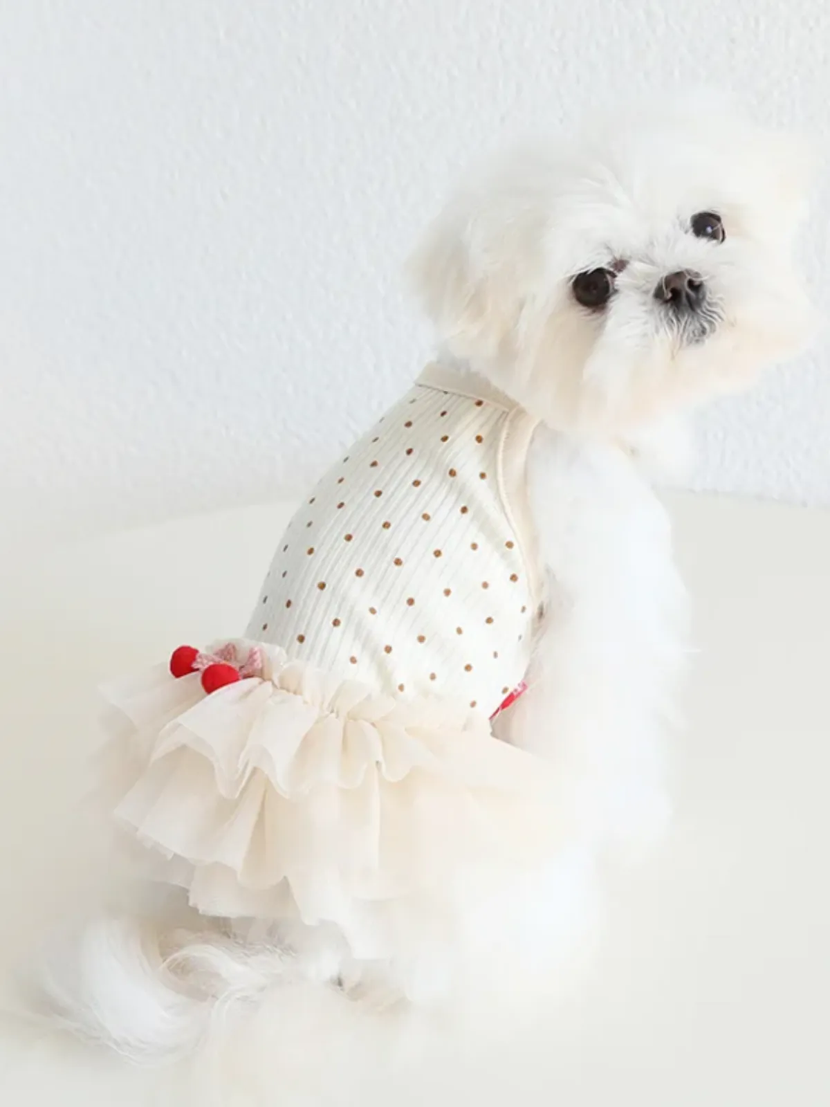 Adorable Tutu Cherry Delight Dog Dress