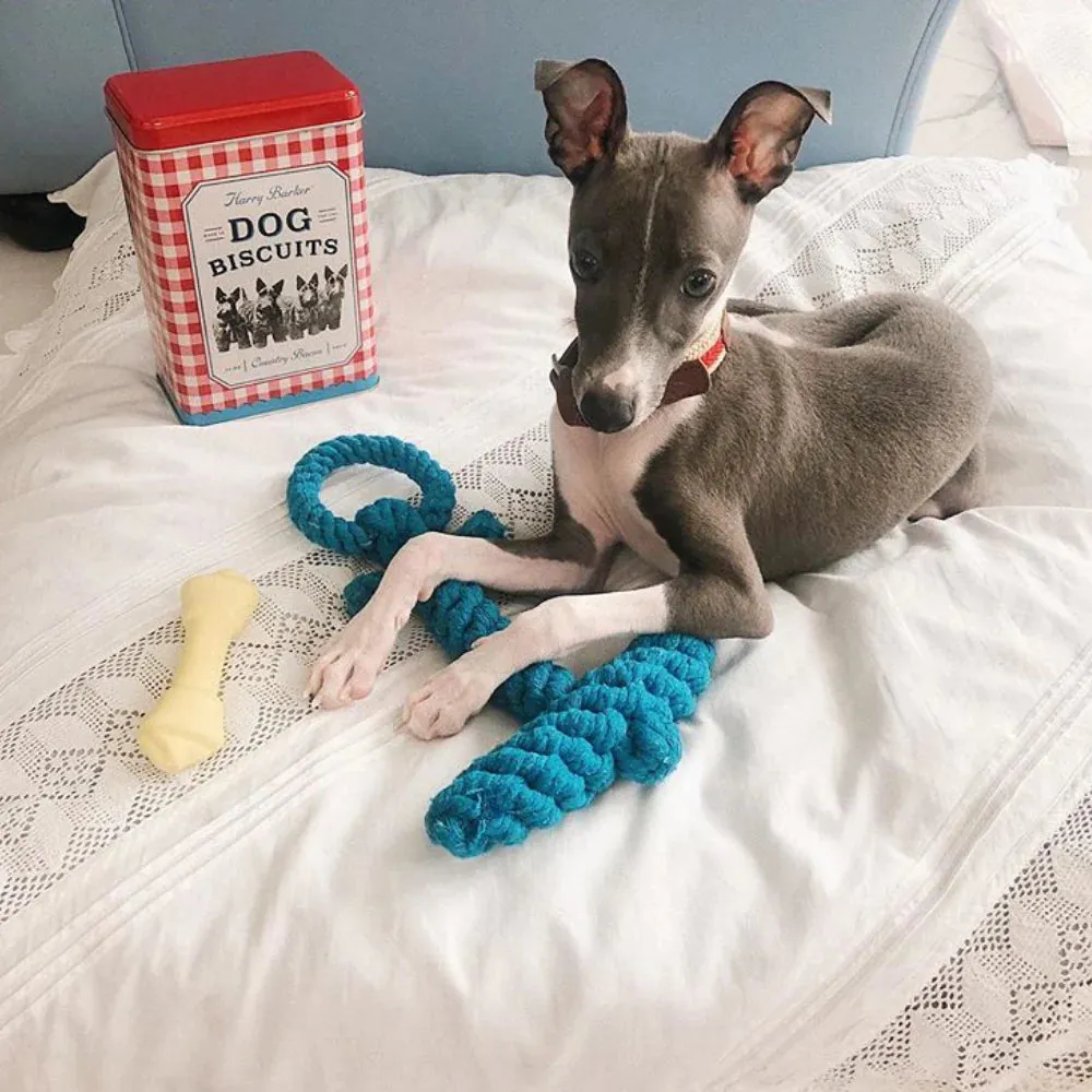 Anchor Knotted Rope Toy