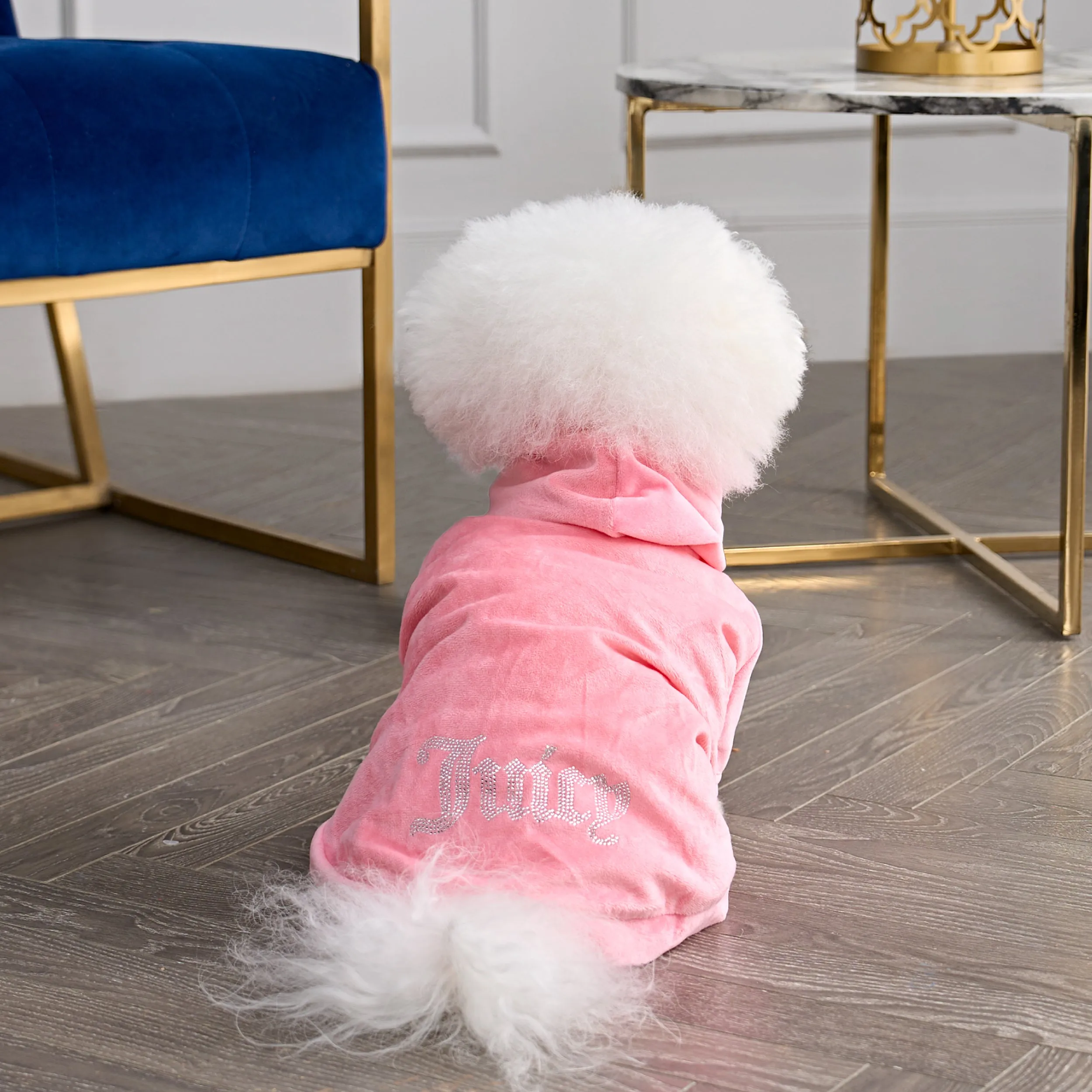 Bling Velour Pet Hoodie