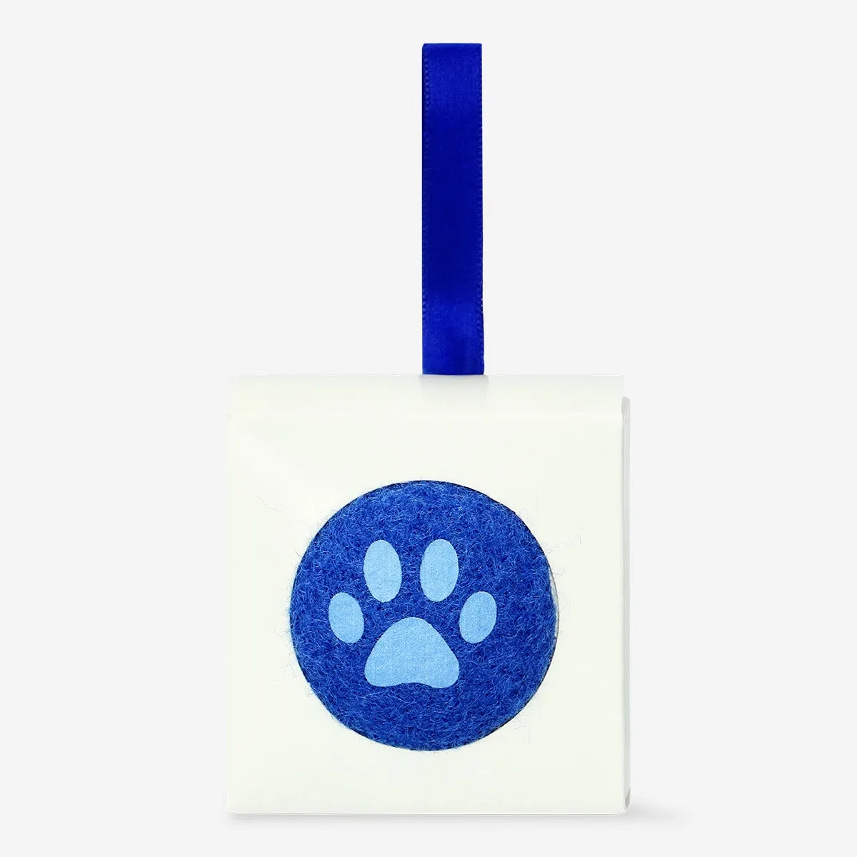 Blue Pet Ball