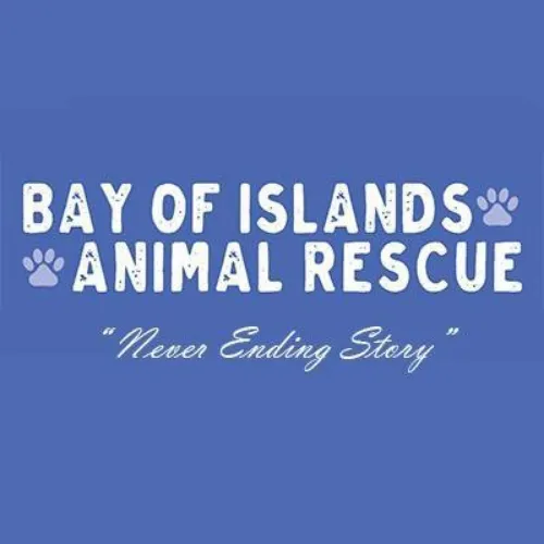 BOI Animal Rescue Donation