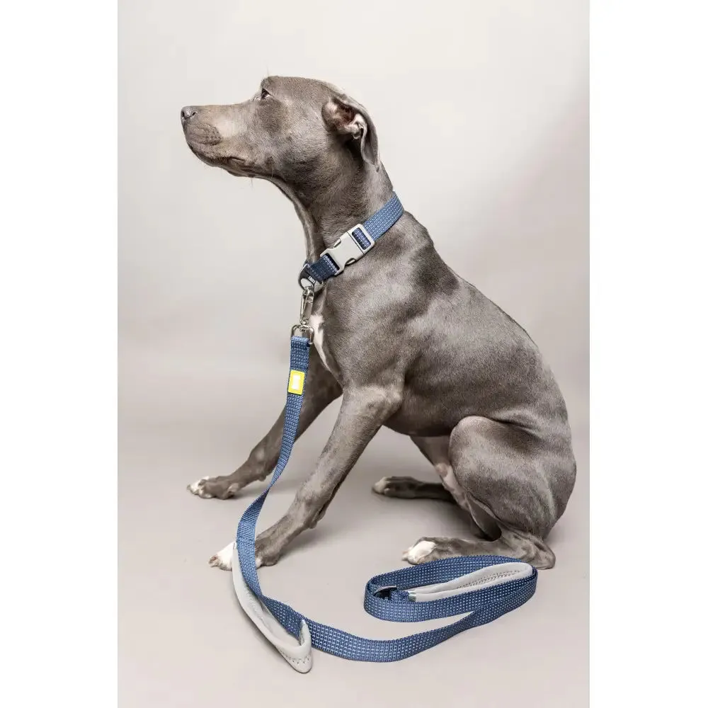 Built Pets Reflective Lead - Large Blue