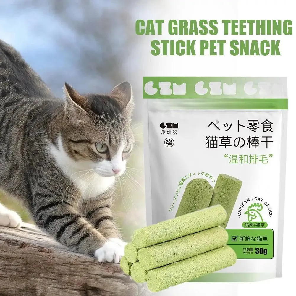 Cat Grass Teething Sticks 6pcs Healthy Smiles