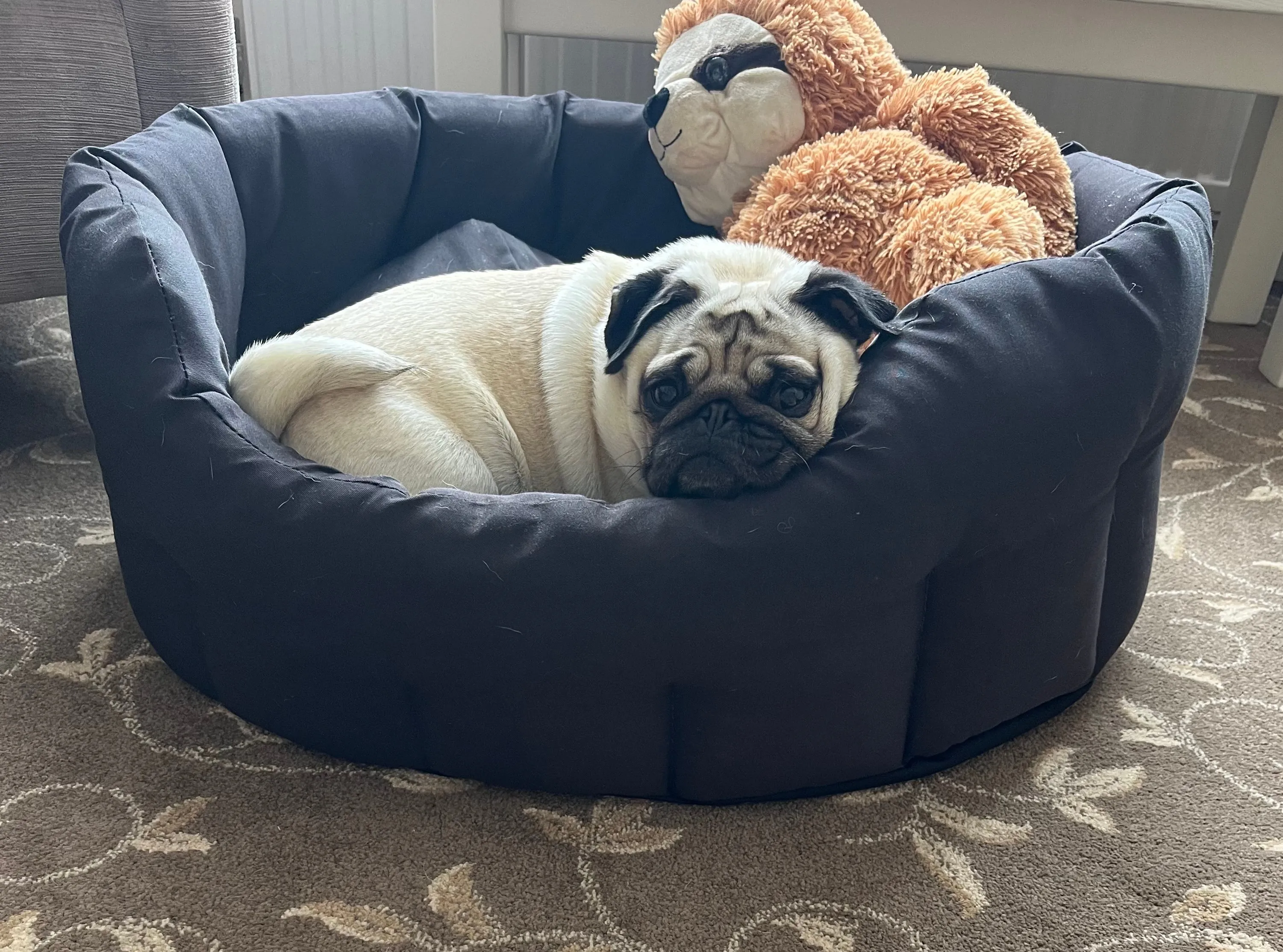 Copper Pet Bed