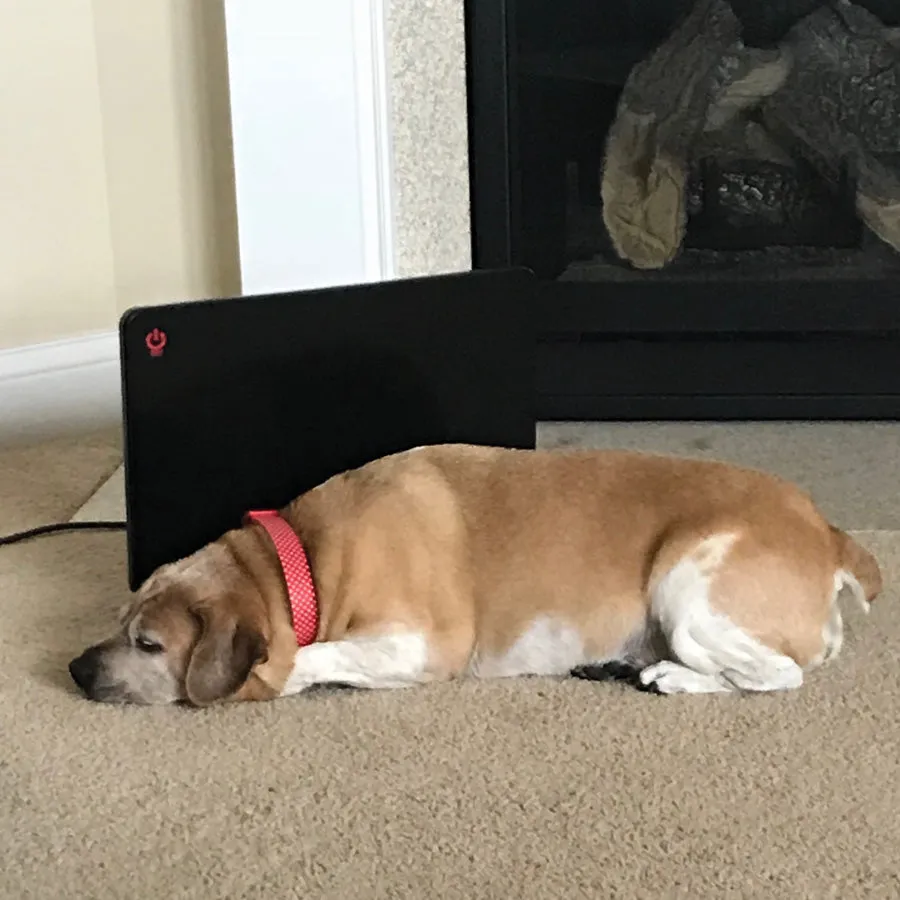 Cozy Pet Warmer Panel Heater