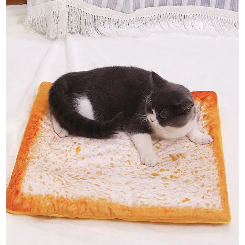 Creative Realistic 3D Food Durable Thick Soft Pet Mat