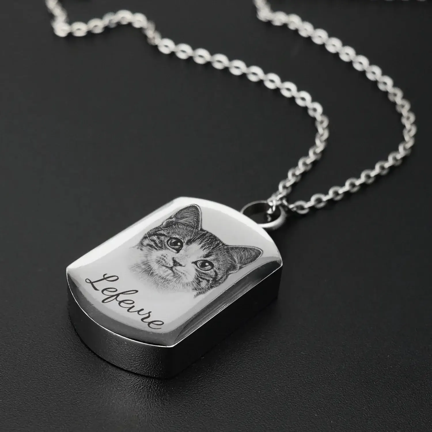 Custom Personalized Pet Photo Pendant Cremation Necklace