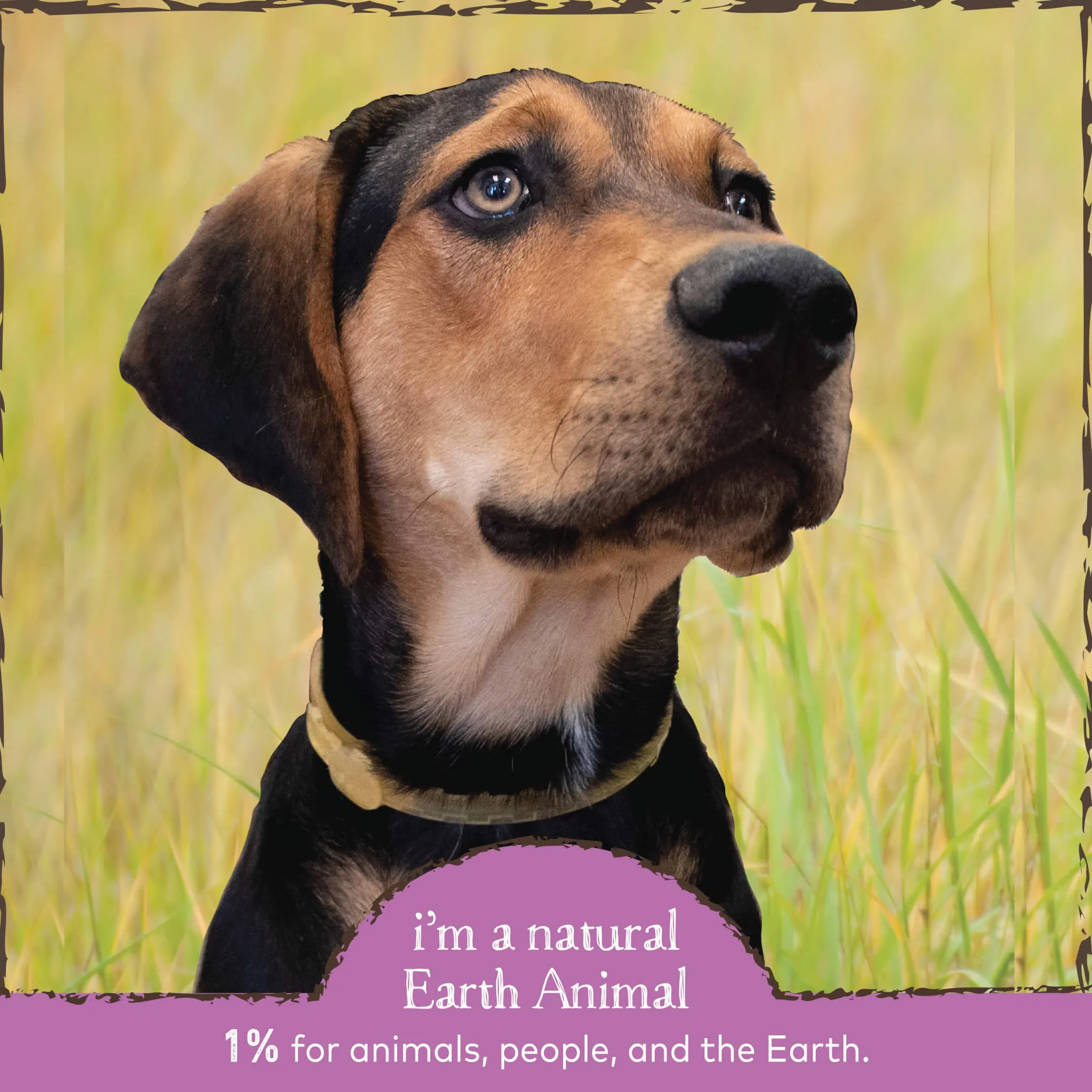 Earth Animal Nature's Protection Daily Herbal Internal Powder for Dogs & Cats