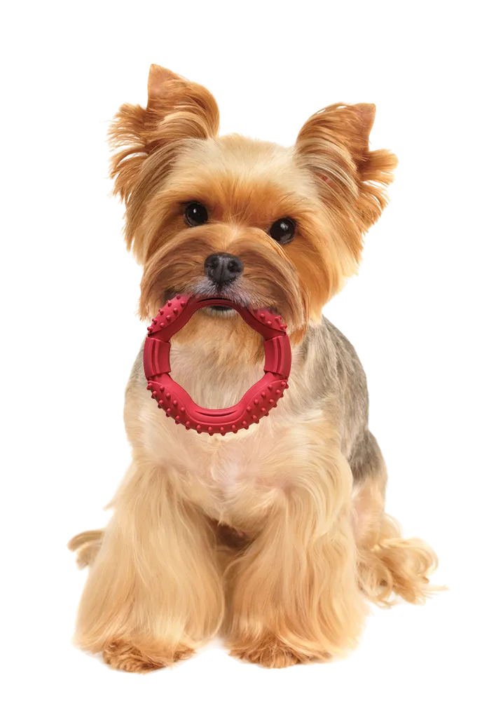 Ethical SPOT Barrett Tough Ring Dog Toy