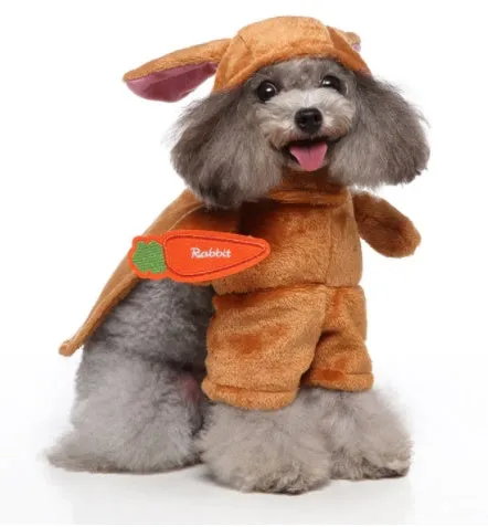 Funny Pet Upright Costumes