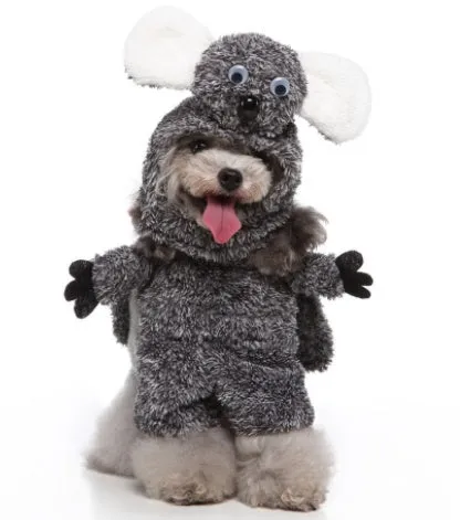 Funny Pet Upright Costumes