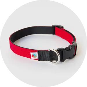 Funston Dog Collar