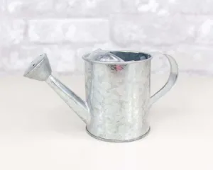 Galvanized Watering Can