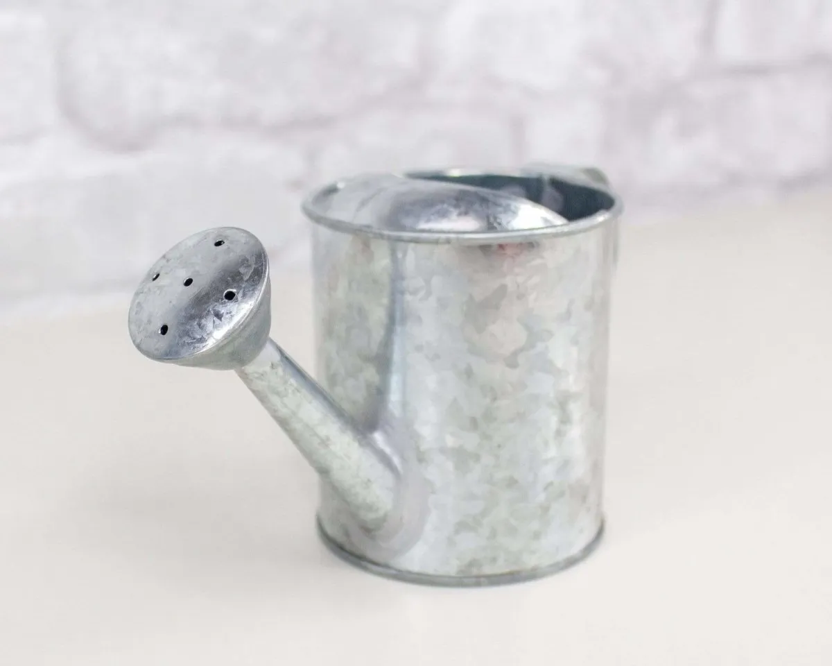 Galvanized Watering Can