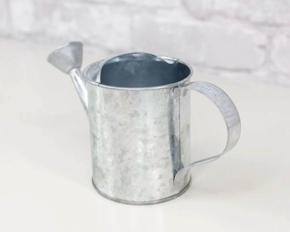 Galvanized Watering Can