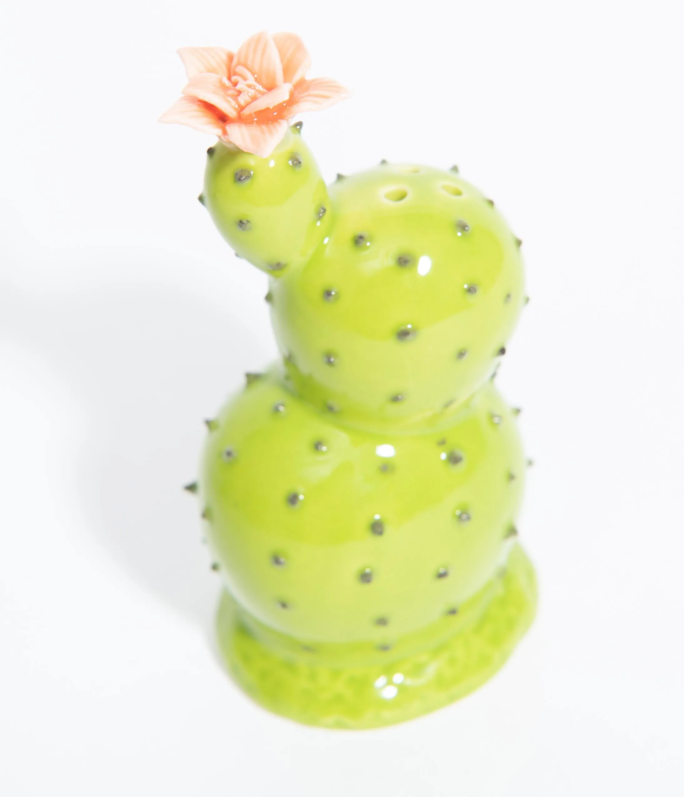 Green Cacti Salt & Pepper Shaker Set