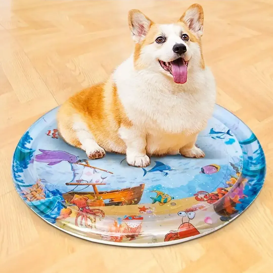 Interactive Water Pets Play Mat