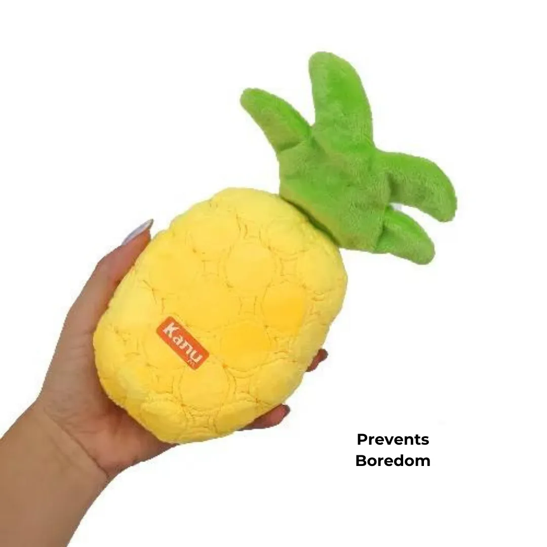 Kanu Pet Plush Pineapple Dog Toy