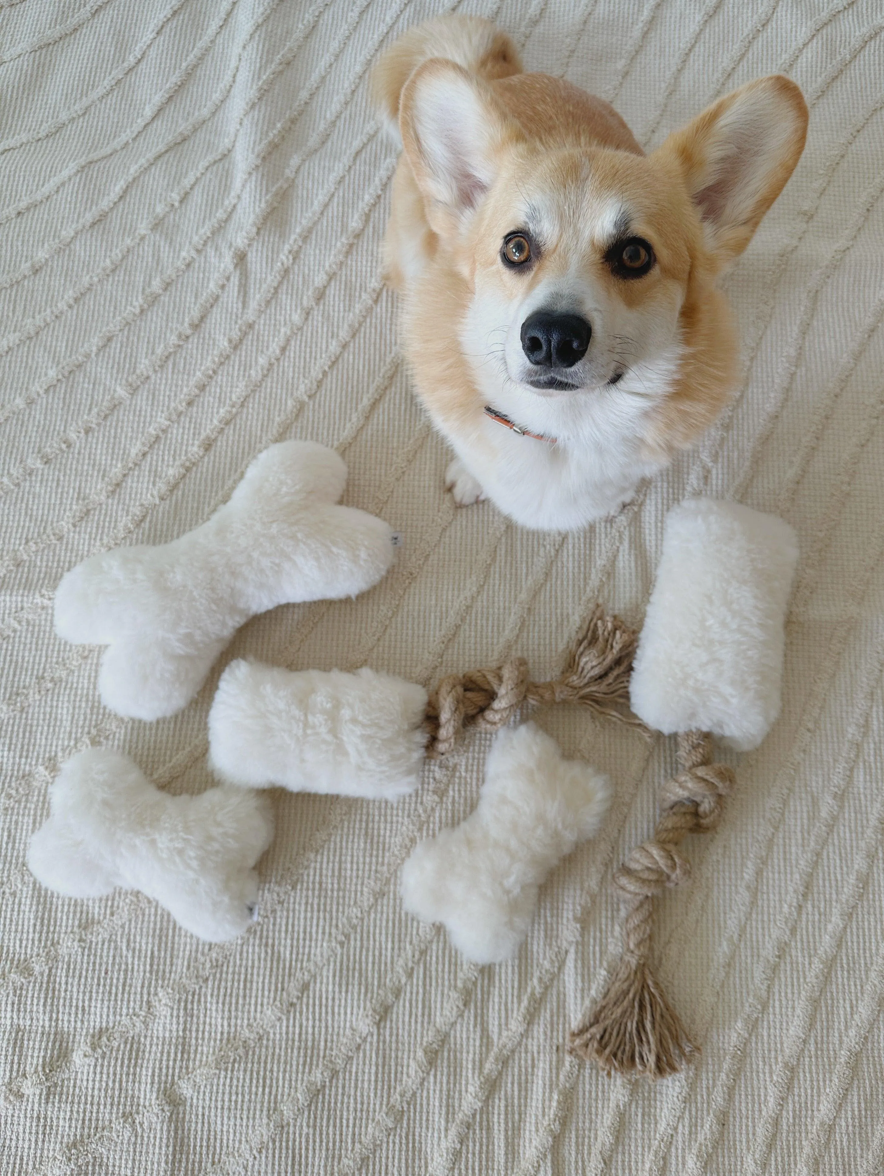 Natural Sheepskin Dog Toy - Bone - Beige