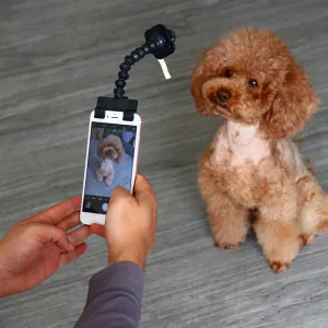 Pet Interactive Adjustable Selfie Stick