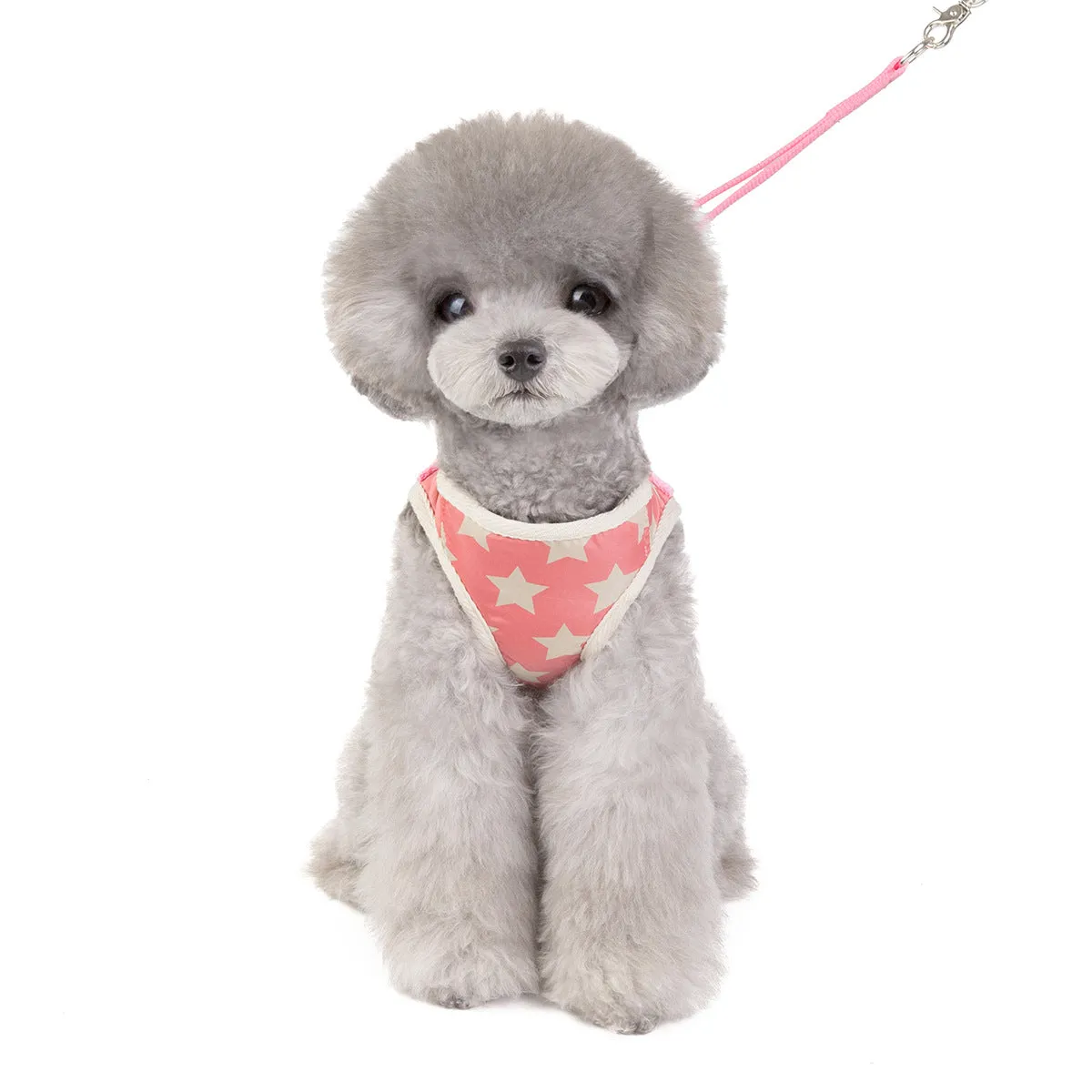 Pet leash five-pointed star pattern pet clothing