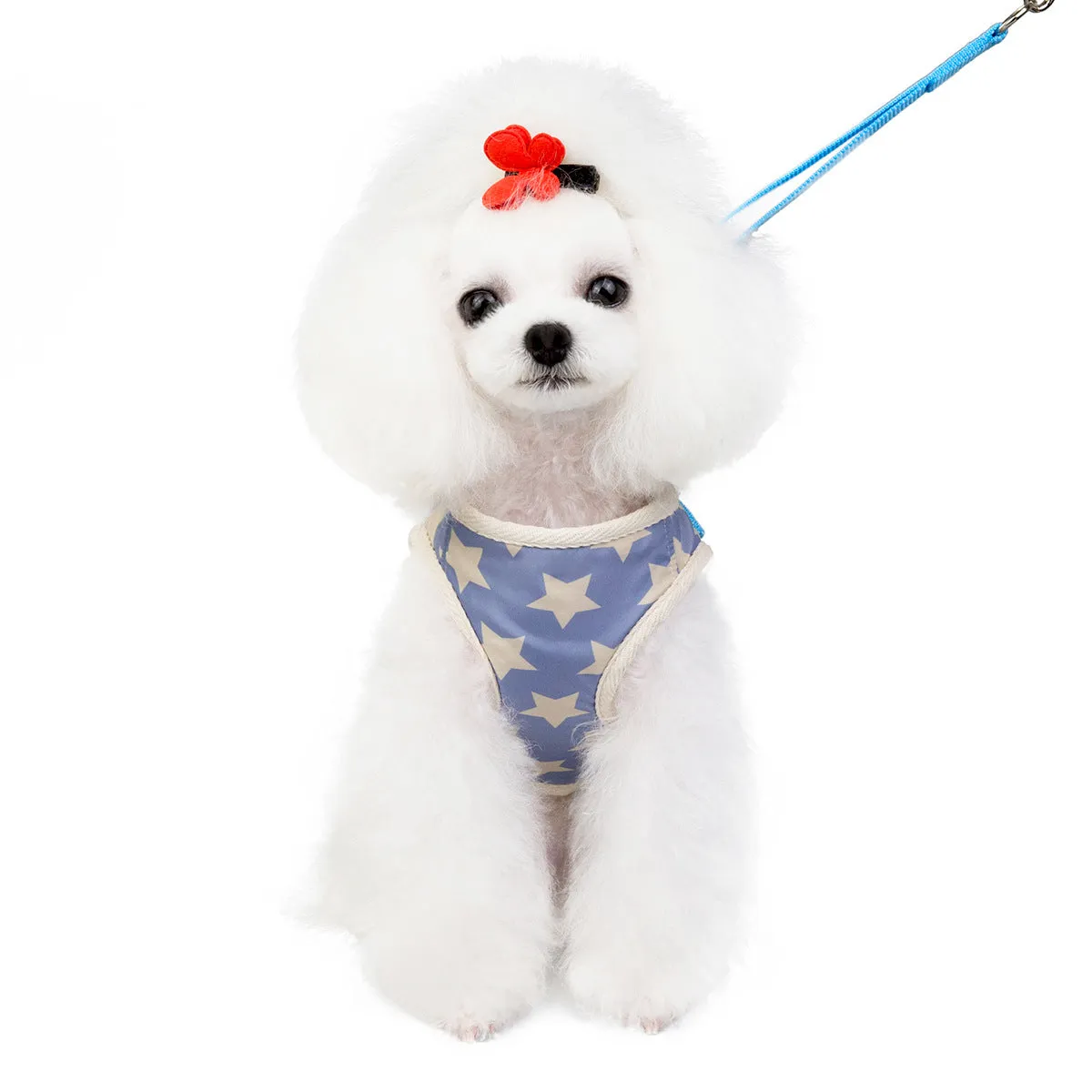 Pet leash five-pointed star pattern pet clothing