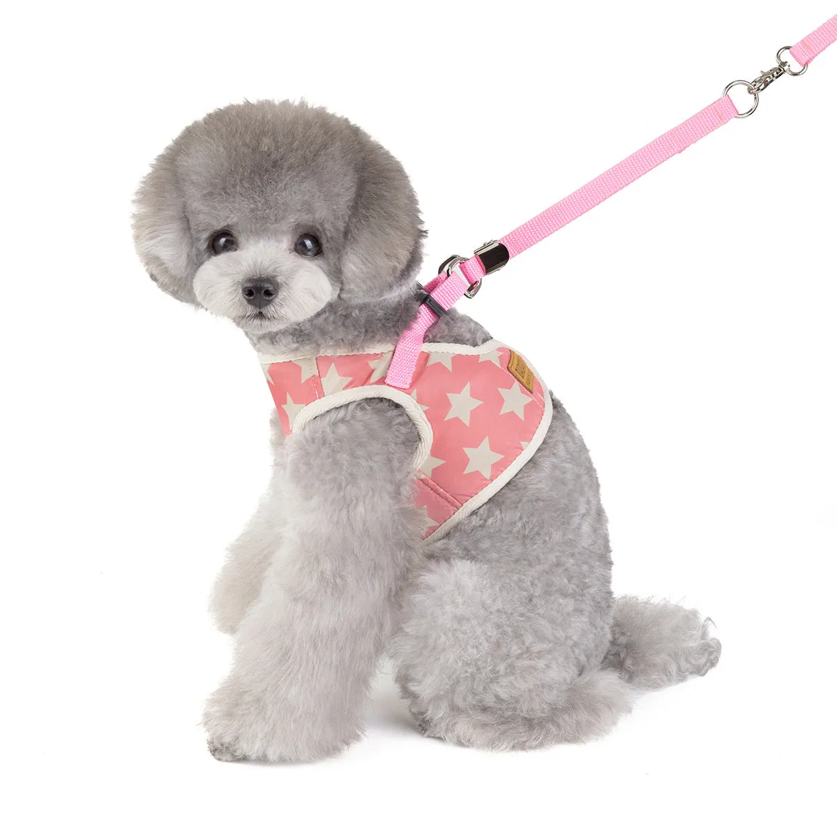 Pet leash five-pointed star pattern pet clothing