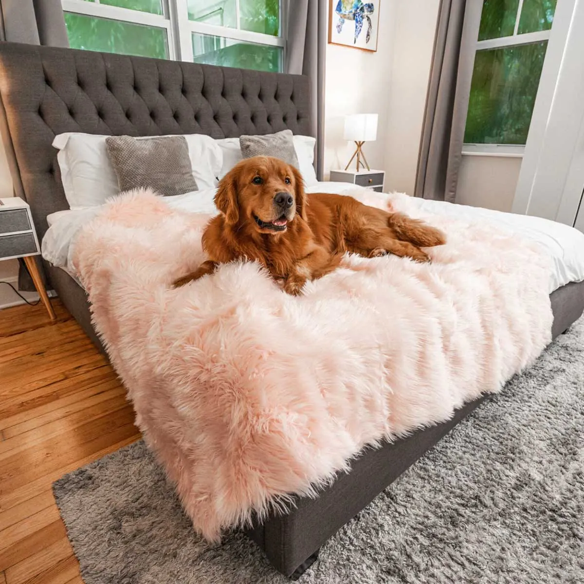 PupProtector Waterproof Throw Blanket - Blush Faux Fur