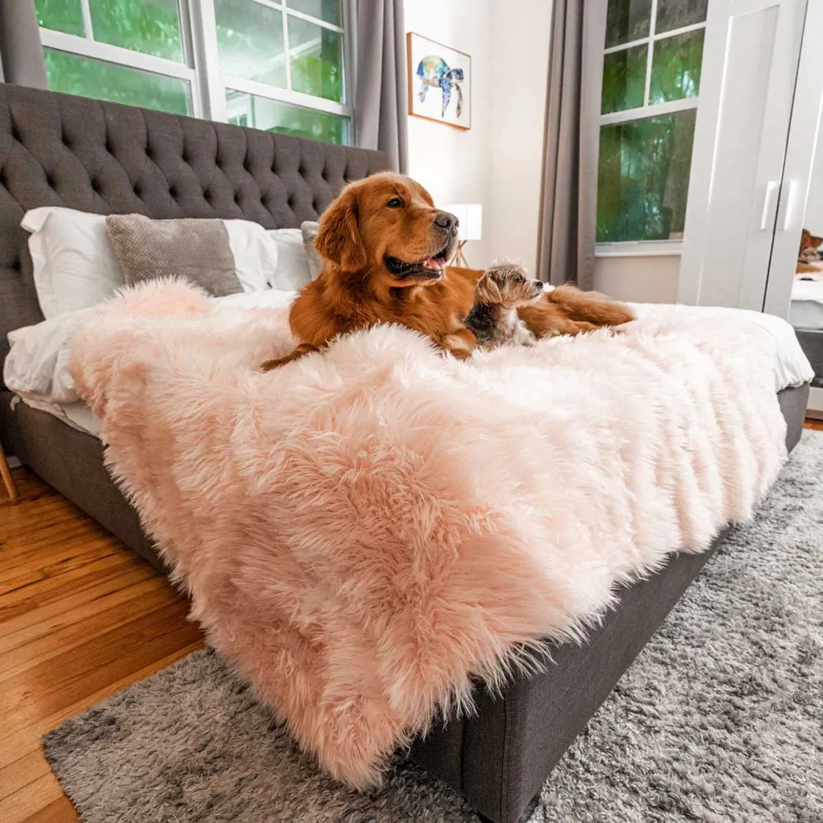 PupProtector Waterproof Throw Blanket - Blush Faux Fur