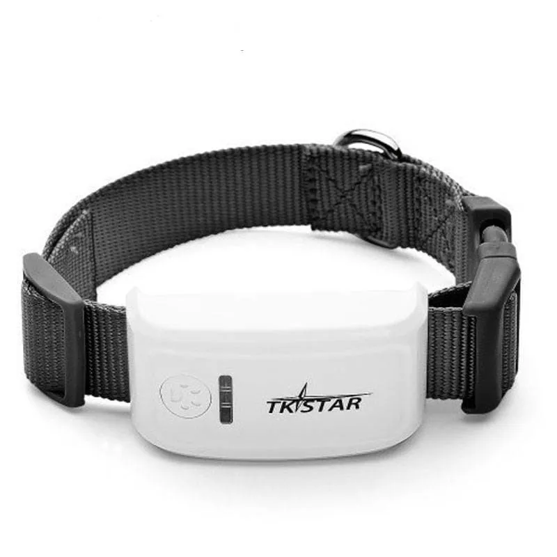 Real Time Locator Chip for Pets