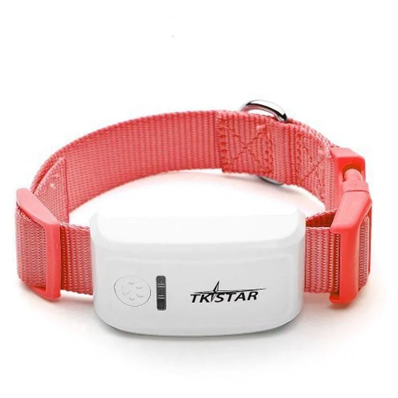 Real Time Locator Chip for Pets