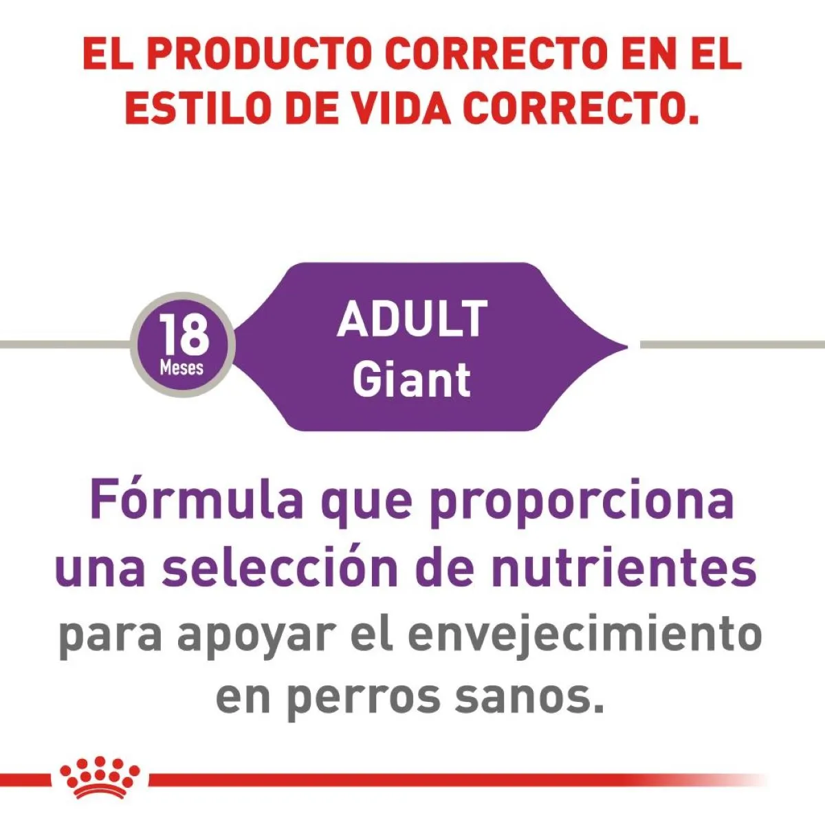 Royal Canin Giant Adulto