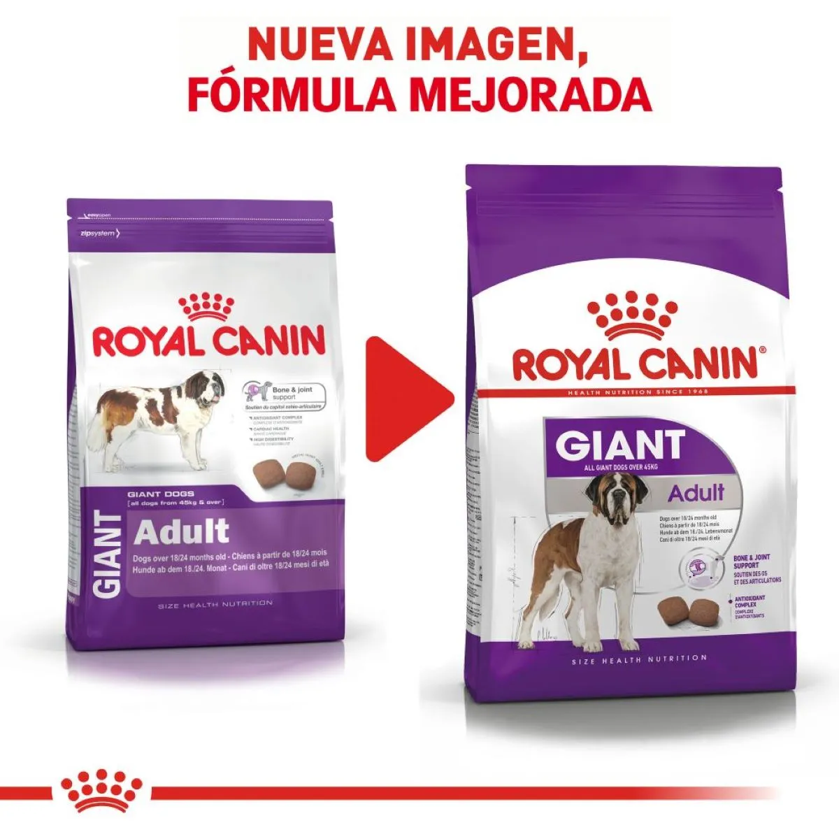 Royal Canin Giant Adulto