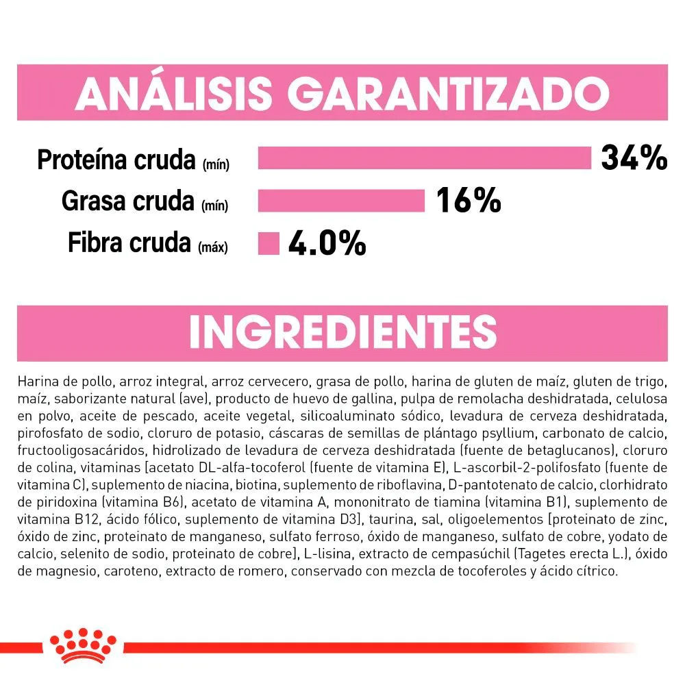 Royal Canin Kitten - Alimento para Gato Cachorro