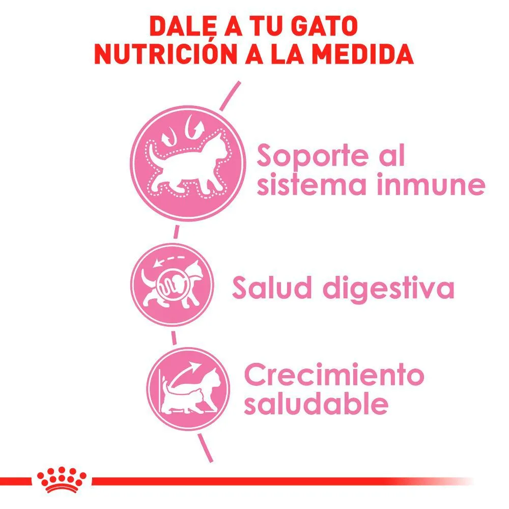 Royal Canin Kitten - Alimento para Gato Cachorro