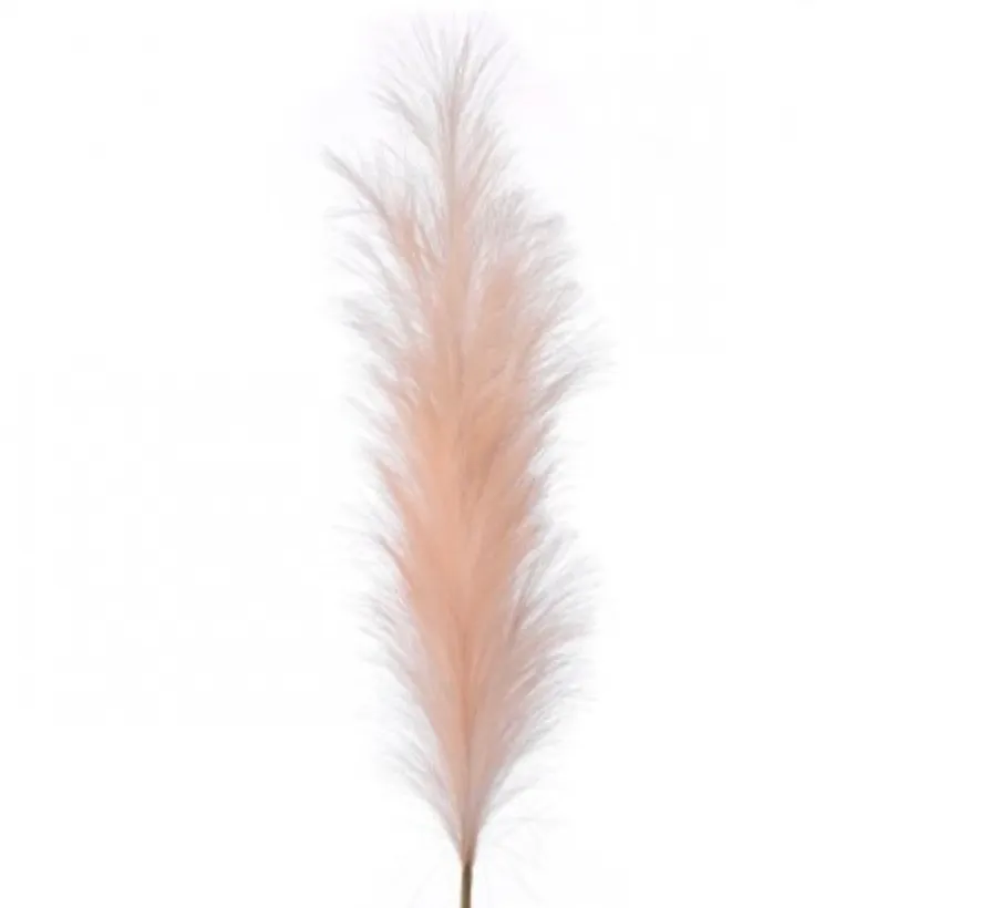 Santa's Sweet Shoppe Collection 40" PAMPAS PLUME