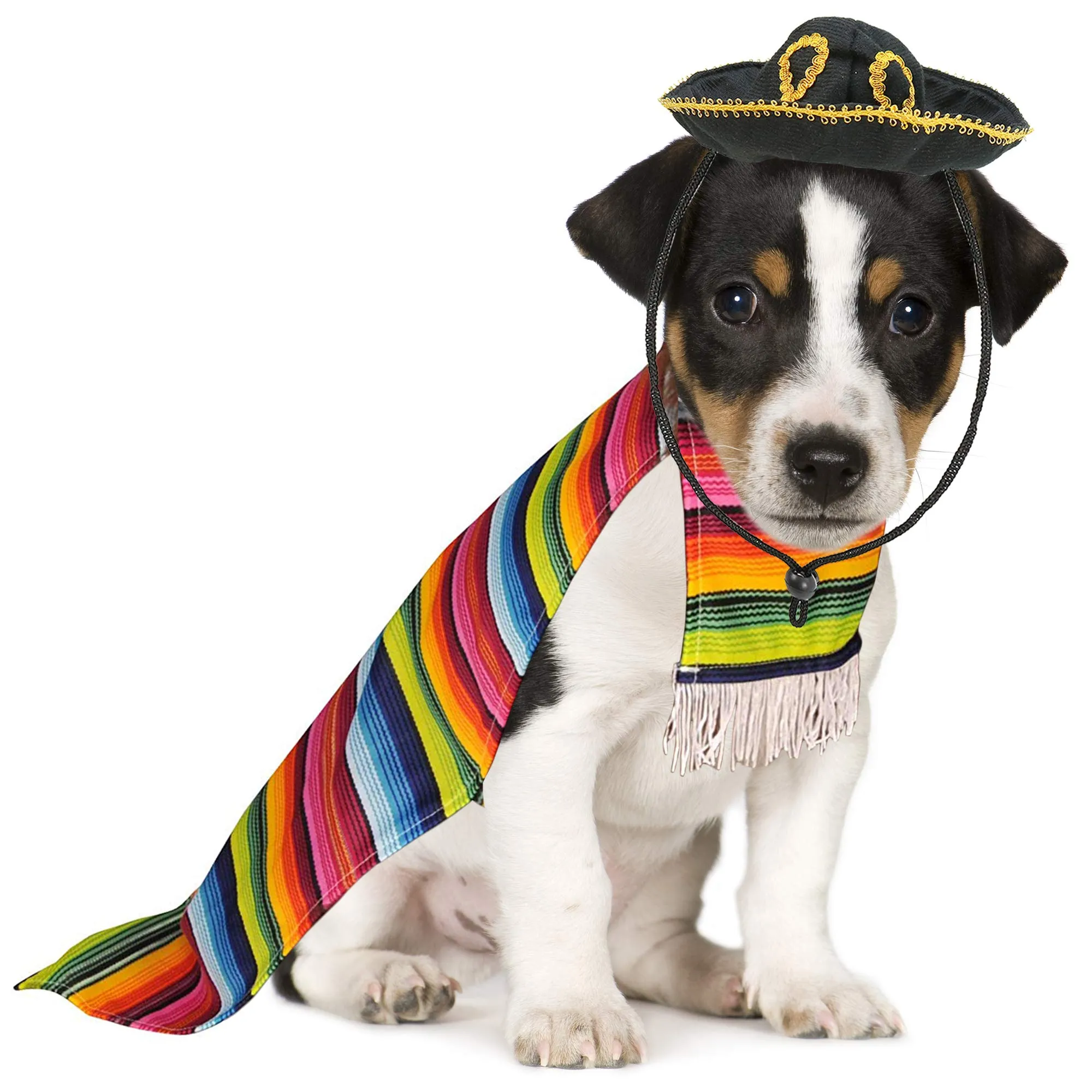 Skeleteen Mexican Serape Dog Costume - Cinco de Mayo Poncho and Sombrero Costumes for Pets