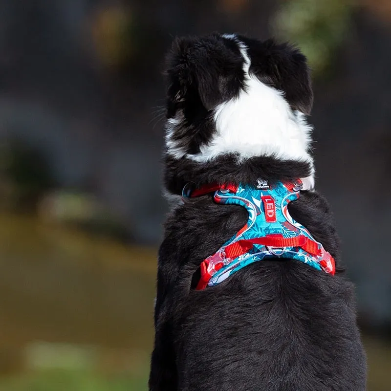 TEEK - Various Wardrobe Dog Harness