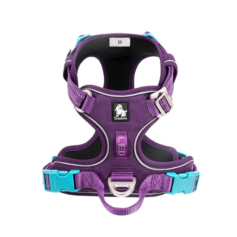 TEEK - Various Wardrobe Dog Harness