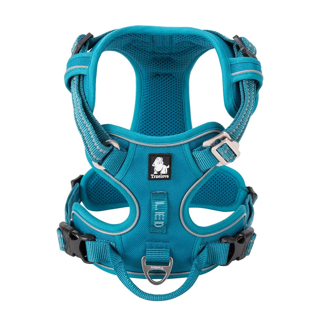 TEEK - Various Wardrobe Dog Harness