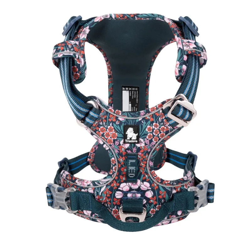 TEEK - Various Wardrobe Dog Harness