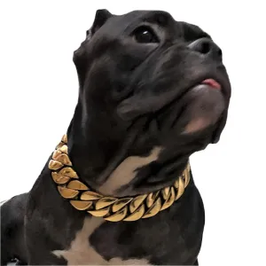 TEEK - Wide Golden Chain Dog Collar