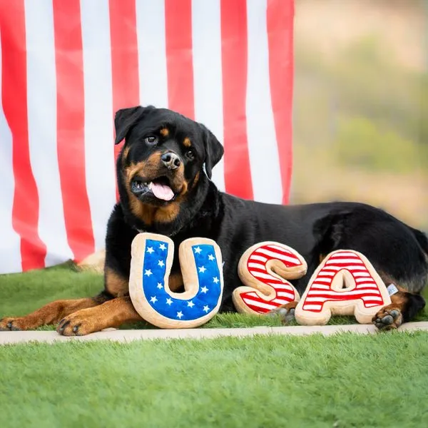 USA Sugar Cookie Dog Toy- 4th of July, Memorial Day, Patriotic Pet Plush Squeak Toys (Large)