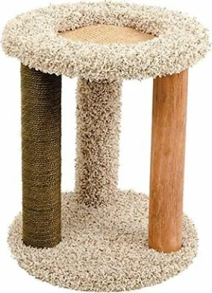 Ware Carpet Playground-N-Lounge