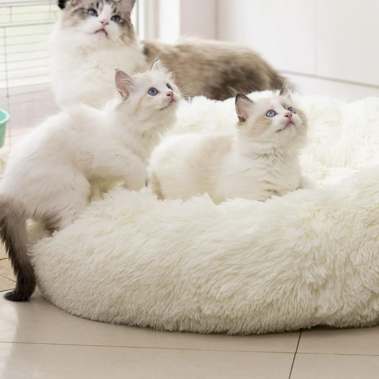 Warm Washable Dog Bed & Cat Bed