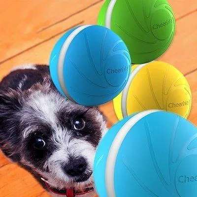 Wickedball Interactive Pet Toy