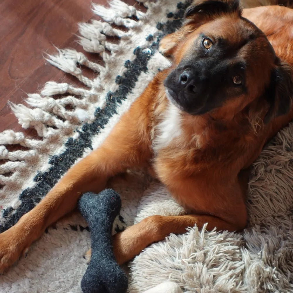 Wool Dog Bone Toy